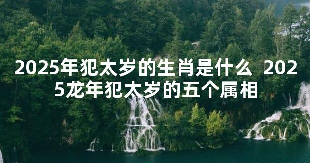 2025年犯太岁的生肖是什么  2025龙年犯太岁的五个属相